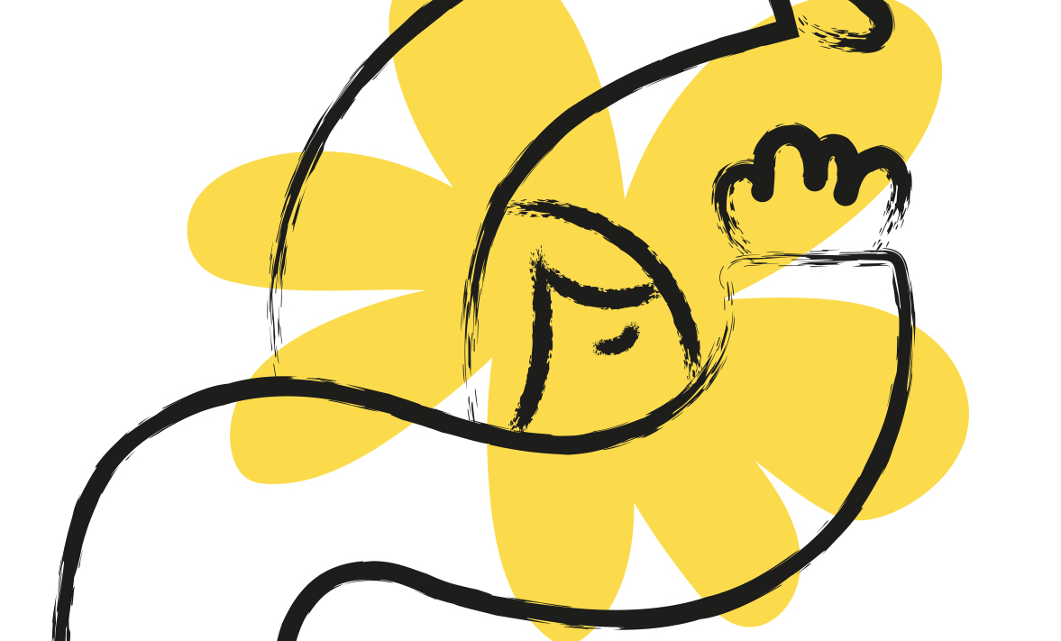 boceto conceptual